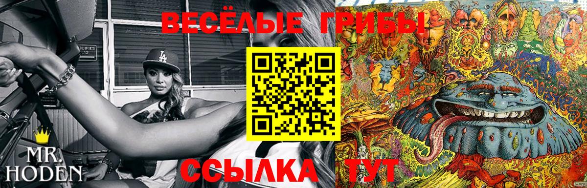 Псилоцибиновые грибы Psilocybe  купить закладку  Ростов Великий  Вход с VPN 